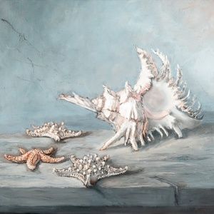 "Murex and sea stars" 24"x26. oil painting  on canvas,